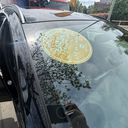 Opel Insignia 1.5CDTi/2021/ULTIM-AT9/ZÁRUKA2
